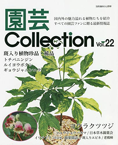 趣味の山野草 趣味の山野草のバックナンバー | 雑誌/定期購読の予約はFujisan